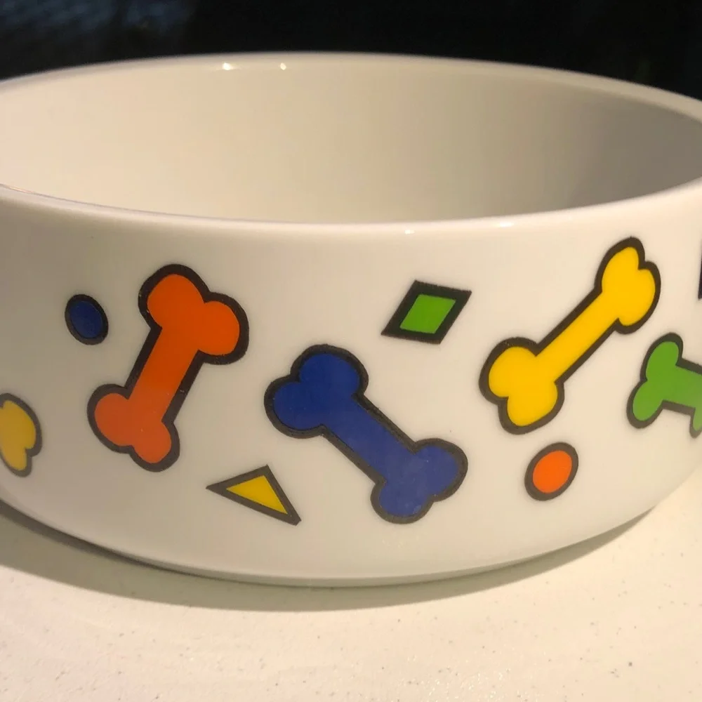 Ceramic large Dog Bowl with Colorful Bone Pattern - White